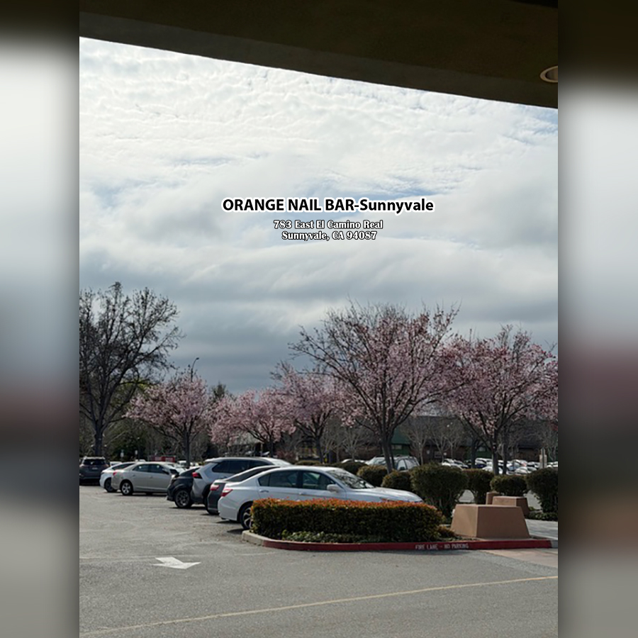 Nail Salon Gallery – Beautiful Nail Designs & Real Client Work